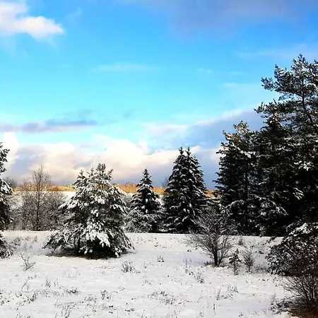 Dom Pod Sosna Frühstückspension 3*