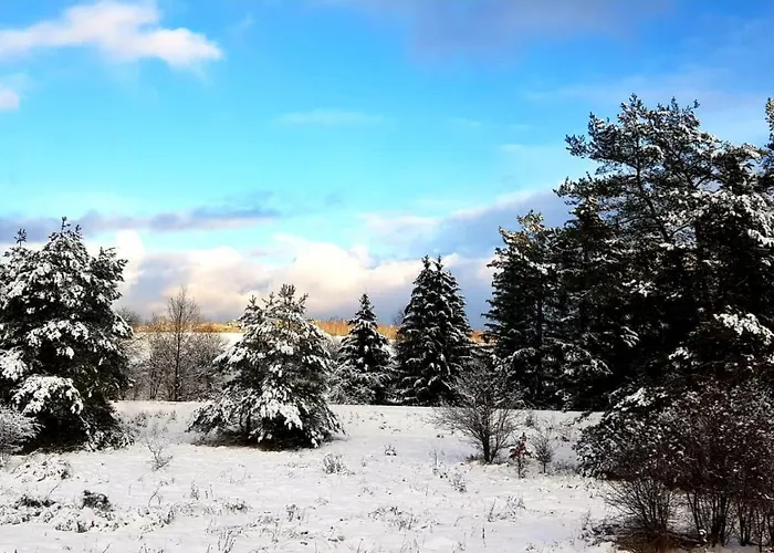 Dom Pod Sosna فندق مبيت وإفطار 3*