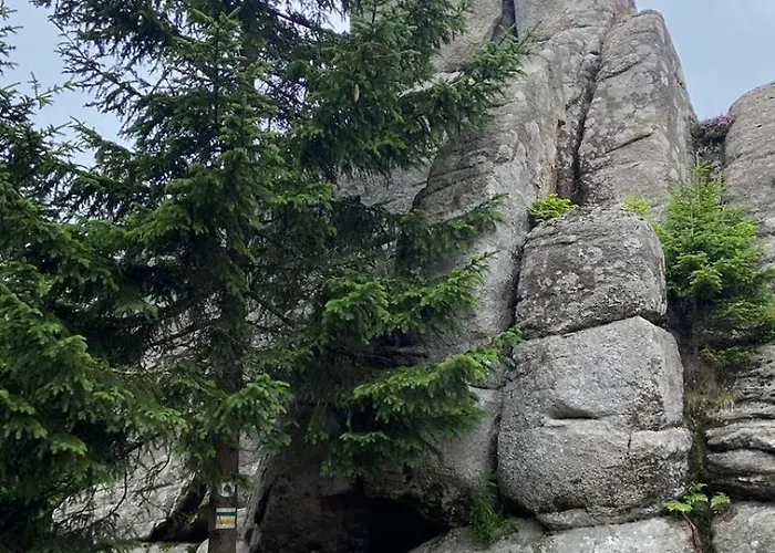 Dom Pod Sosna فندق مبيت وإفطار 3*