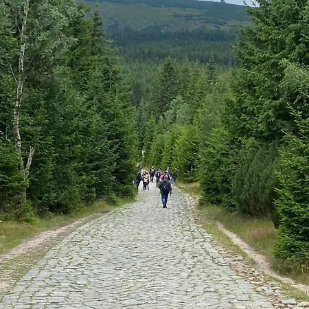 Dom Pod Sosna Oda ve Kahvaltı Karpacz
