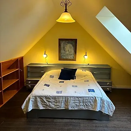 Dom Pod Sosna 住宿加早餐酒店 4*