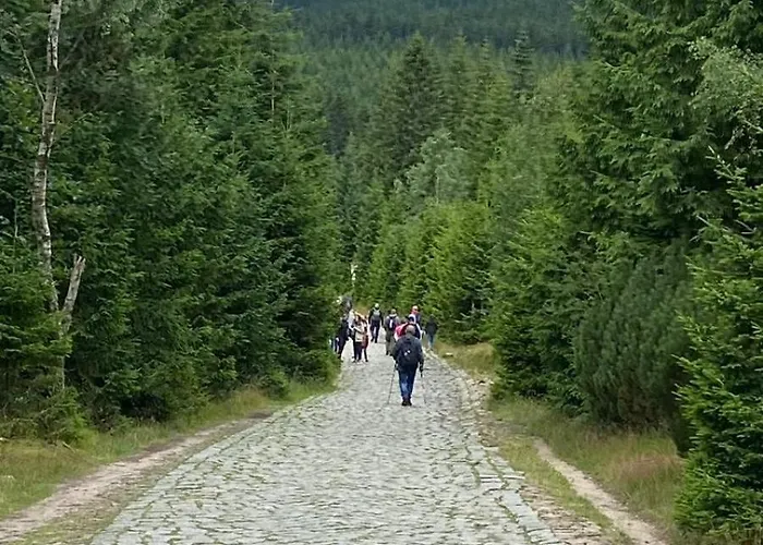 Dom Pod Sosna Отель типа 